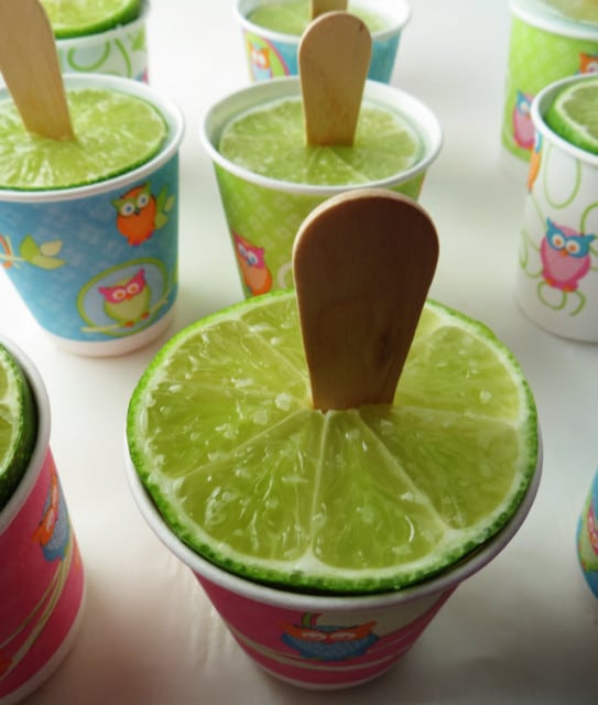 How to Make LemonLime Margarita Popsicles Posh in Progress