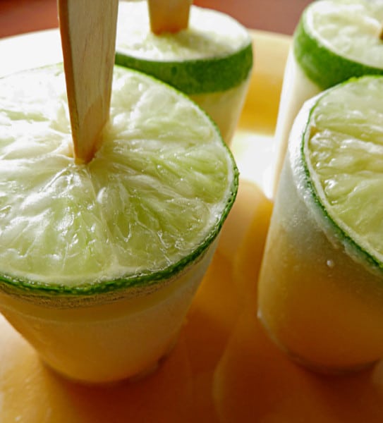 How to Make LemonLime Margarita Popsicles Posh in Progress