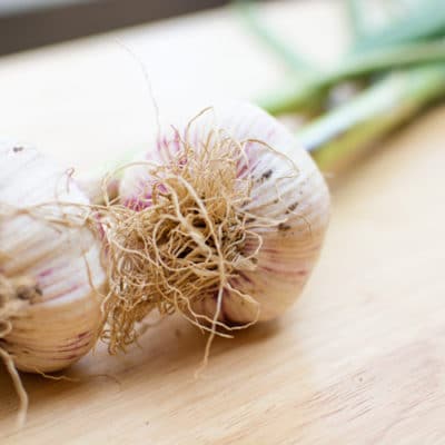 Farmer’s Market Finds: Fresh Garlic