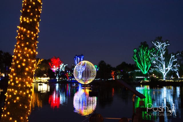 Phoenix Zoo Lights Sneak Peek - Posh in Progress