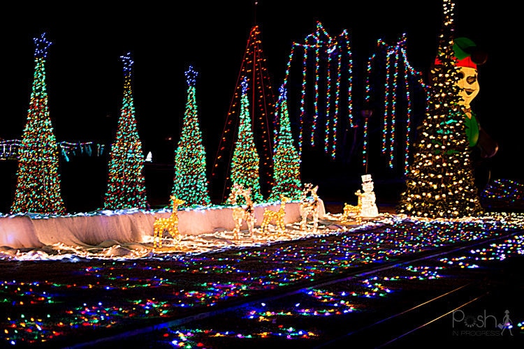 mccormickrailroadparkchristmaslights01 Posh in Progress