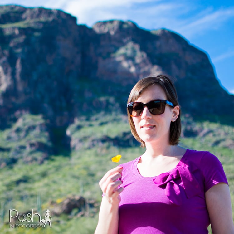 Discovering the Picacho Peak Poppies