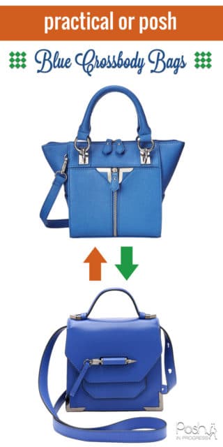 Practical or Posh: Blue Crossbody Bag - Posh in Progress