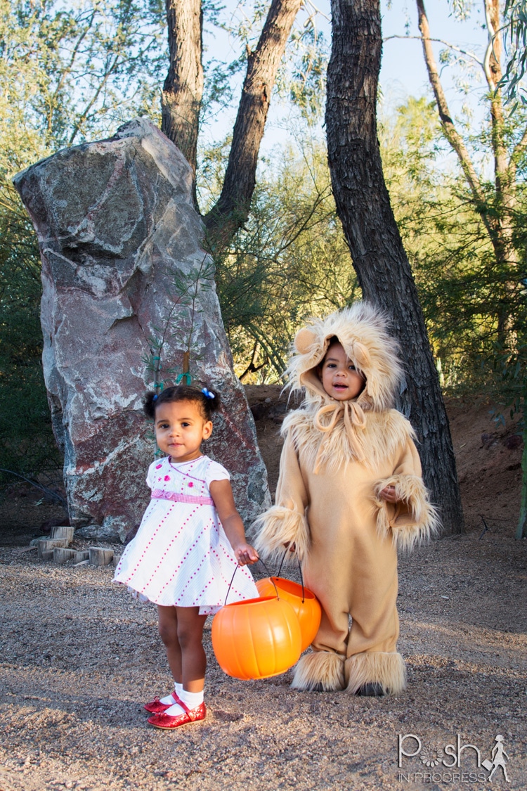 My daughter's little Dorothy red shoes are to die for! I made this homemade lion costume to go with her shoes, do tell my son though!