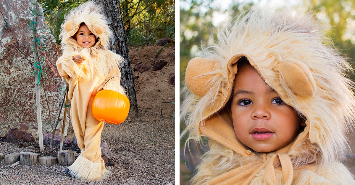 This Super Adorable Homemade Lion Costume is as Easy as it is Cute