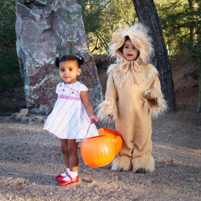 homemade-lion-costume-featured