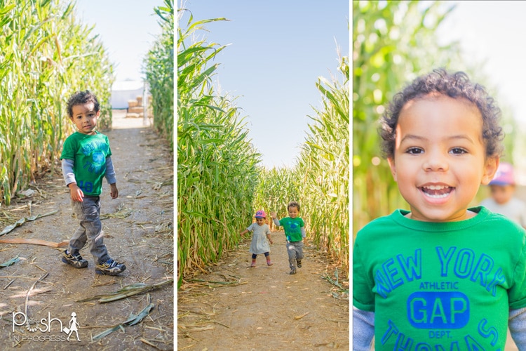 Phoenix Toddler Activities with Gram Posh in Progress