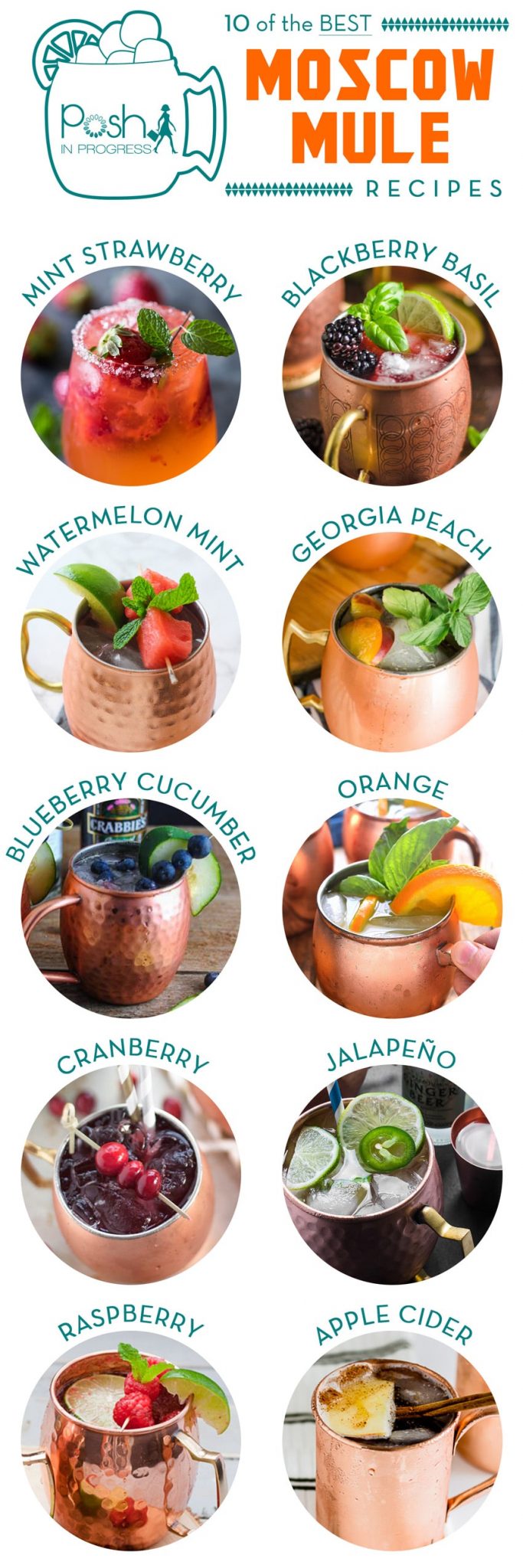 Top 10 Best Moscow Mule Recipes featured by top LA lifestyle blogger, Posh in Progress