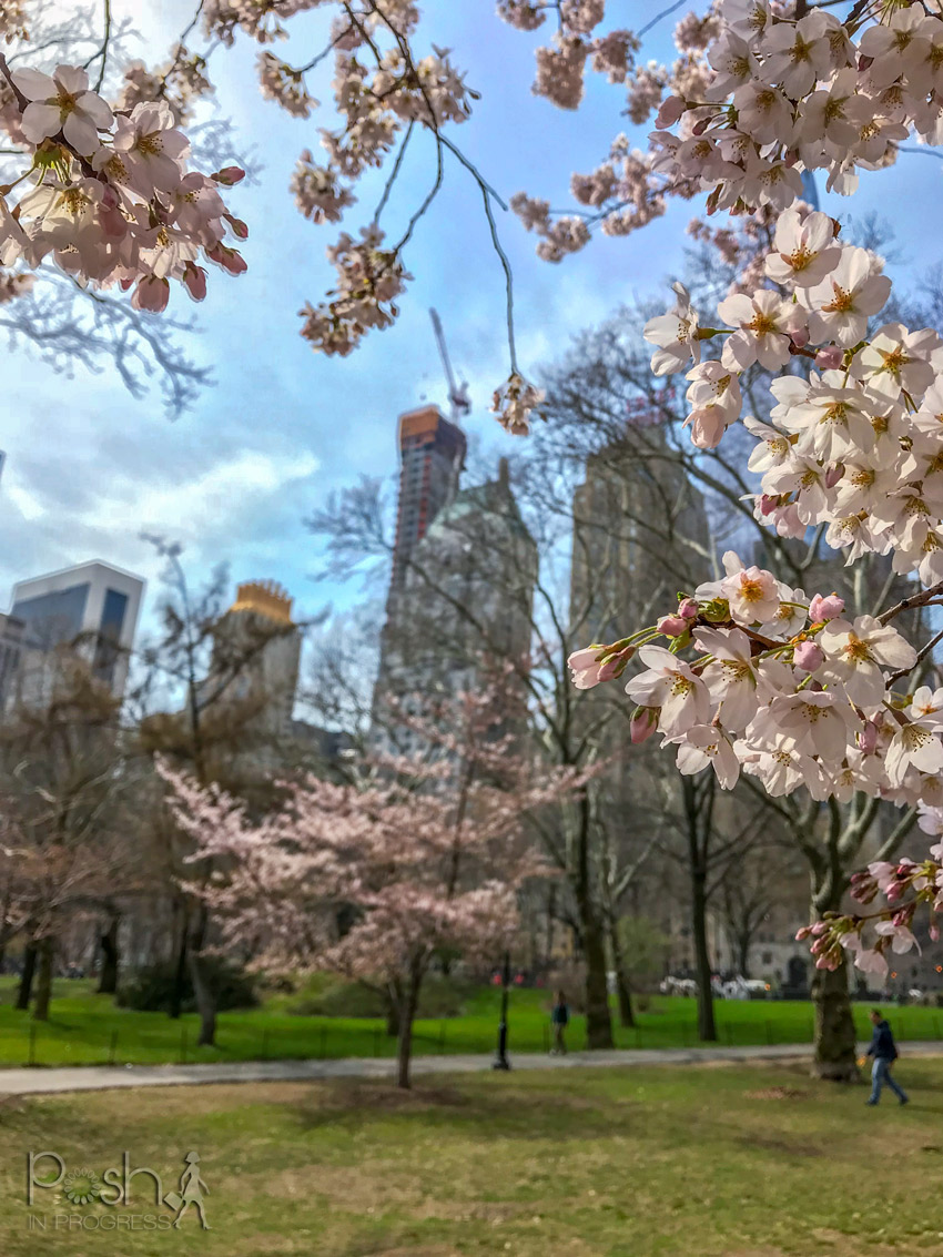 Here are 3 Parks in New York You Will Love to See When it's Spring ...
