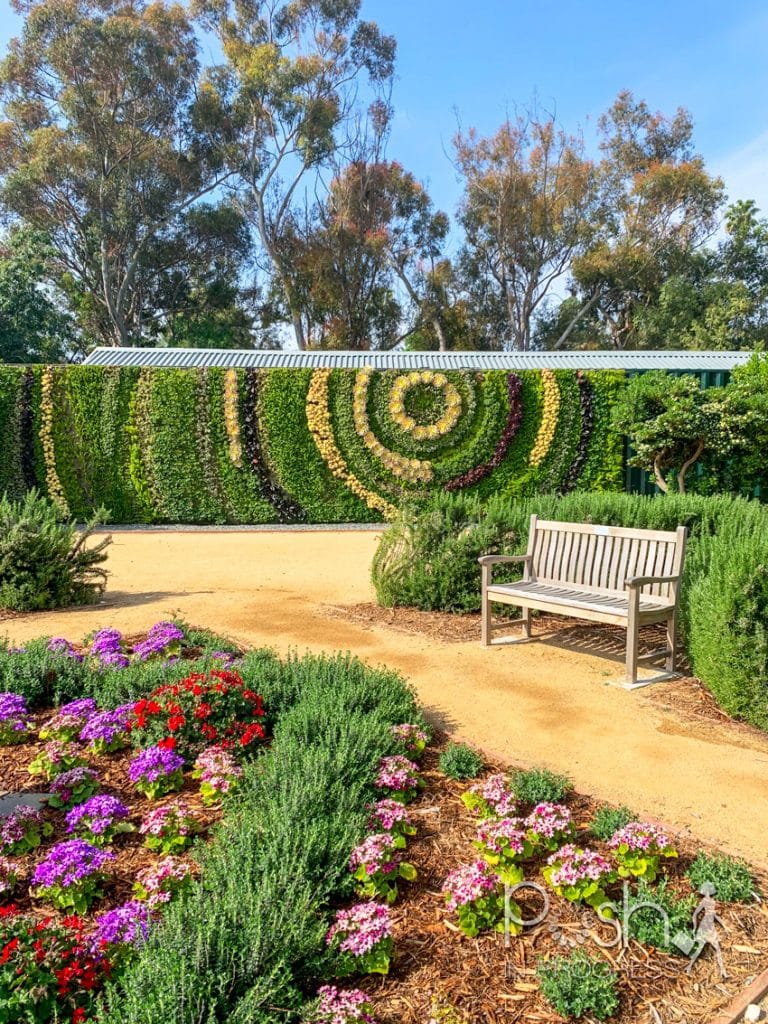 I Visited South Coast Botanic Garden And This Is What Happened Posh   Arboretum 03 768x1024 