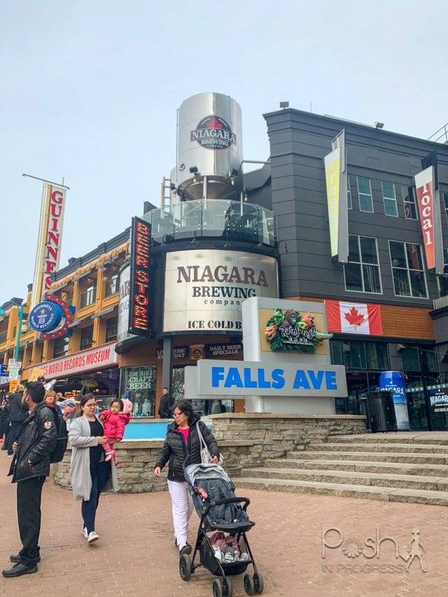 What Happened on My Day Trip From Toronto to Niagara Falls Posh in
