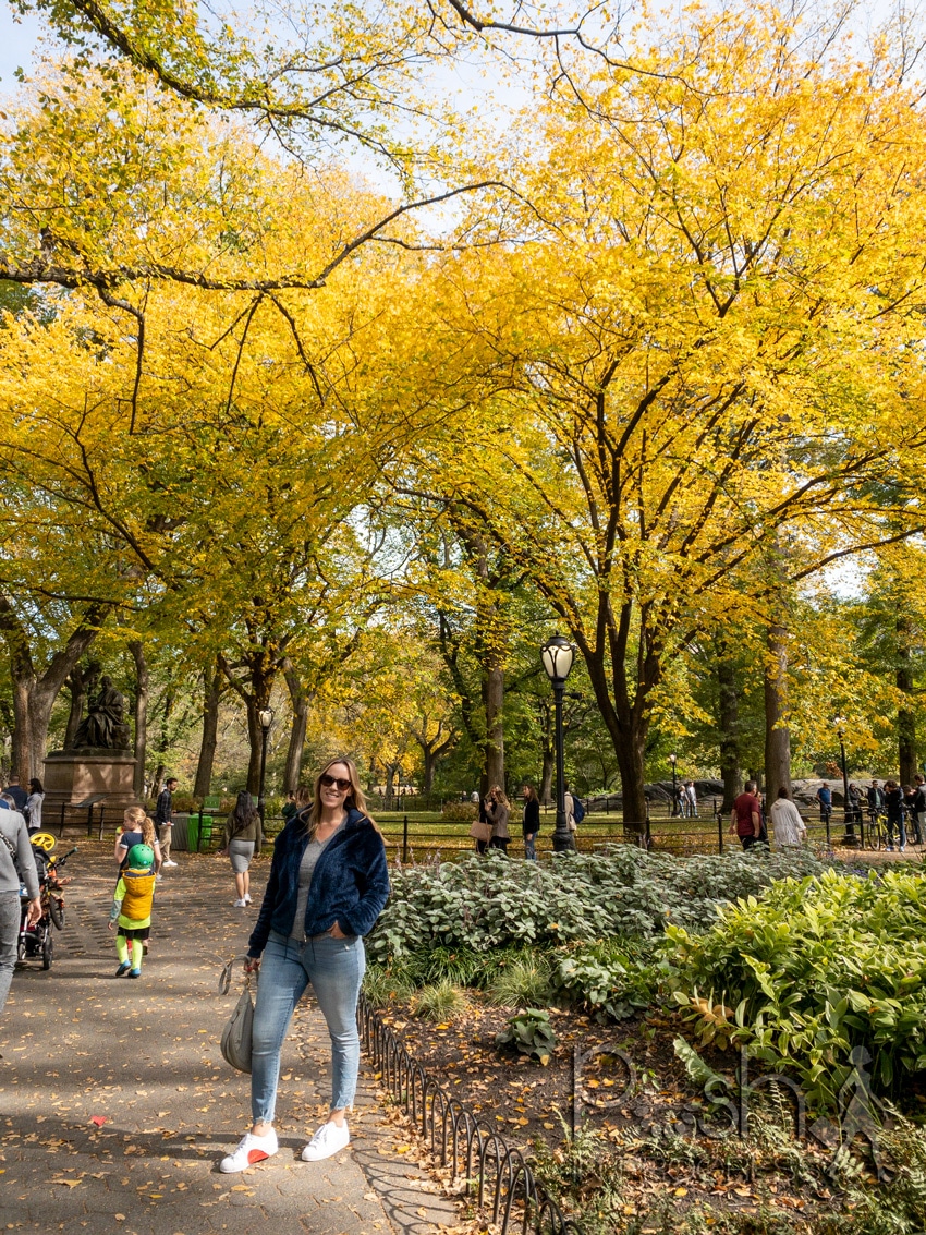 central park in the fall 4