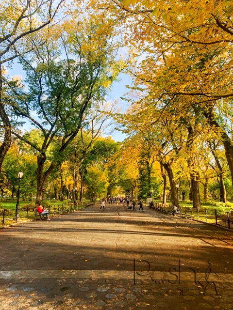 I Visited Central Park in The Fall And This is What Happened - Posh in ...