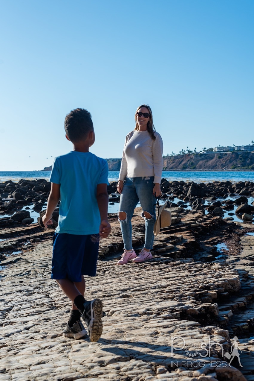 Abalone Cove Tide Pools Everything You Need To Know Posh in Progress