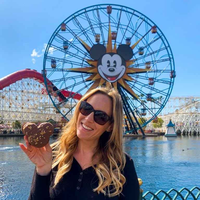 What Happened at Disneyland Food and Wine Festival