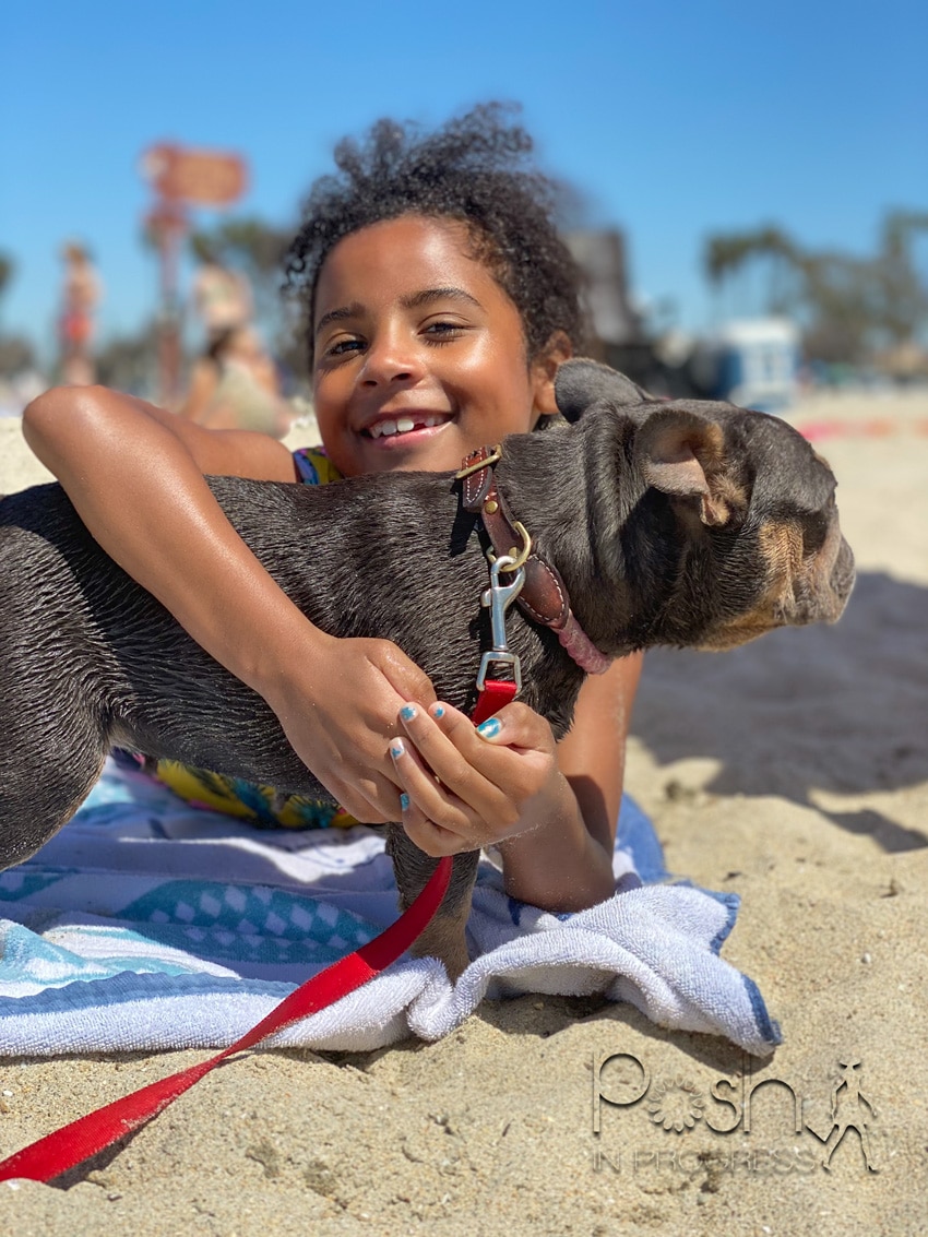 5 Essential Tips for Taking a Dog to the Beach in Honor of National Pet Day featured by top LA lifestyle blogger, Posh In Progress