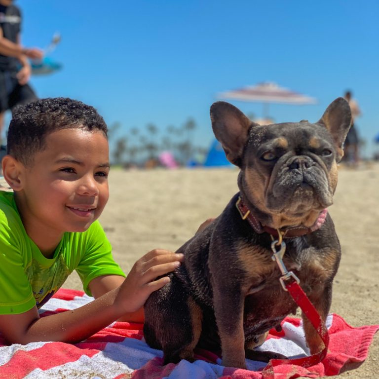 5 Essential Tips for Taking a Dog to the Beach in Honor of National Pet Day