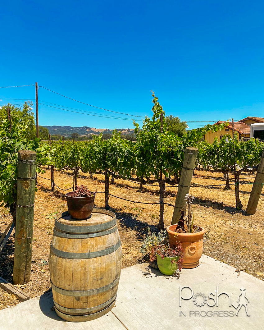 sonoma wine tour 2 | Sonoma Wine Tour by popular LA lifestyle blog, Posh in Progress: image of a vineyard. 