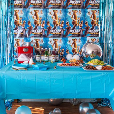 How to Create a Fun Ice Age Birthday Party For Kids