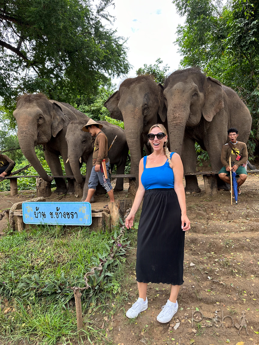 elephant sanctuary thailand 1