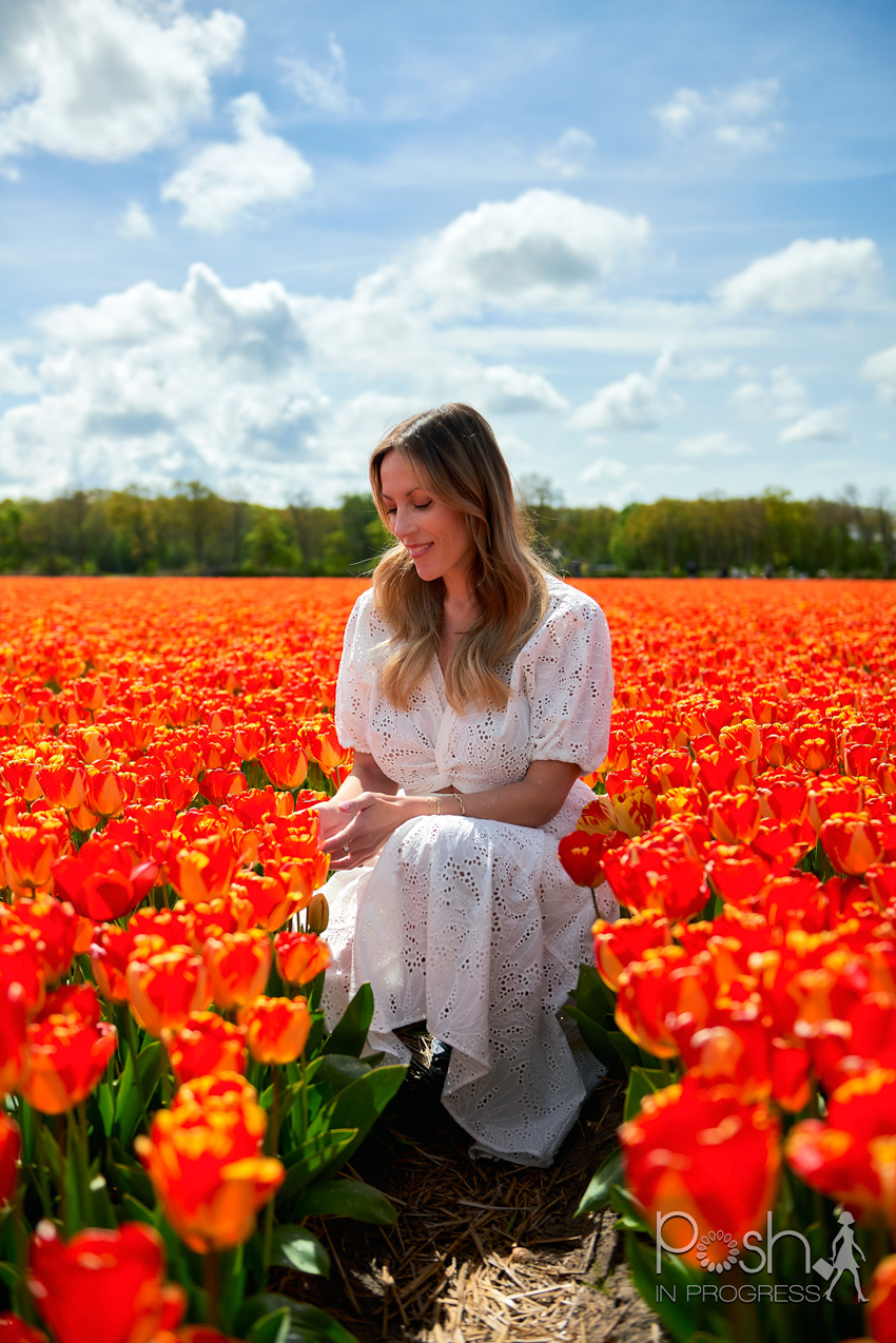 Amsterdam Tulips: Your Complete Travel Guide to Keukenhof & More